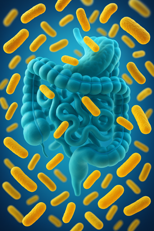 un intestino humano en color azul brillante rodeado de bacterias en tonos amarillos, representando la importancia de los probióticos para la salud digestiva.